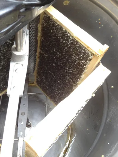 Honey extraction process