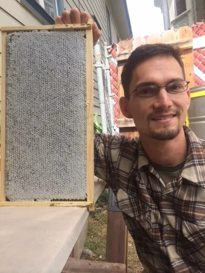 A full frame of capped honeycomb